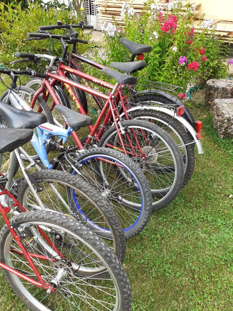 Kolekcja rowerów górskich