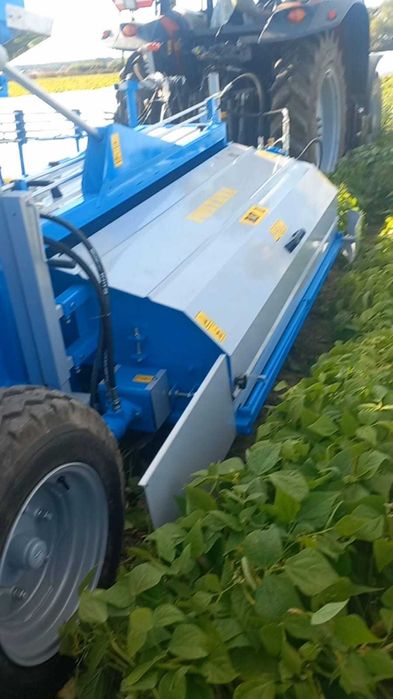 kombajn do fasolka szparagowa bób soja edamame FONTANA