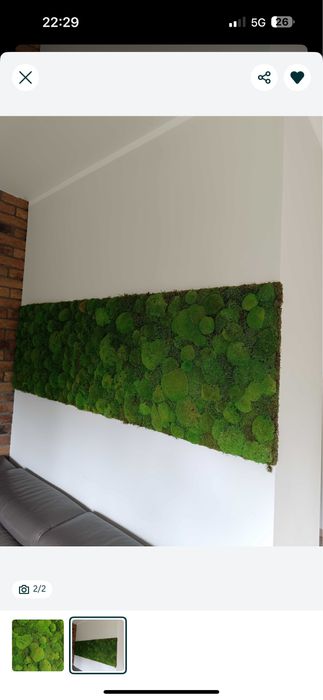 Sprzedam panel z mchem