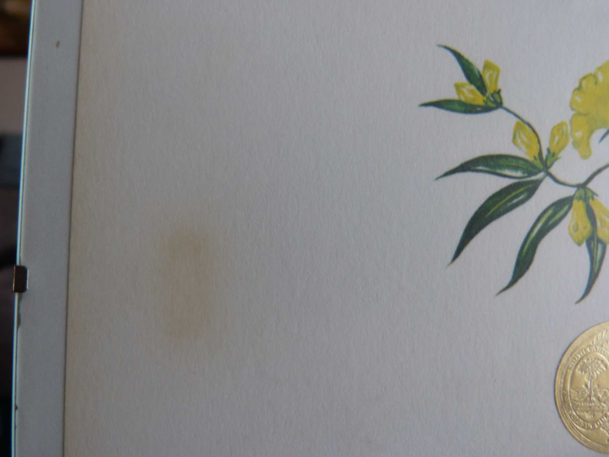 Wydruk ,grafika  z 1969 Anna Worsham Richardson