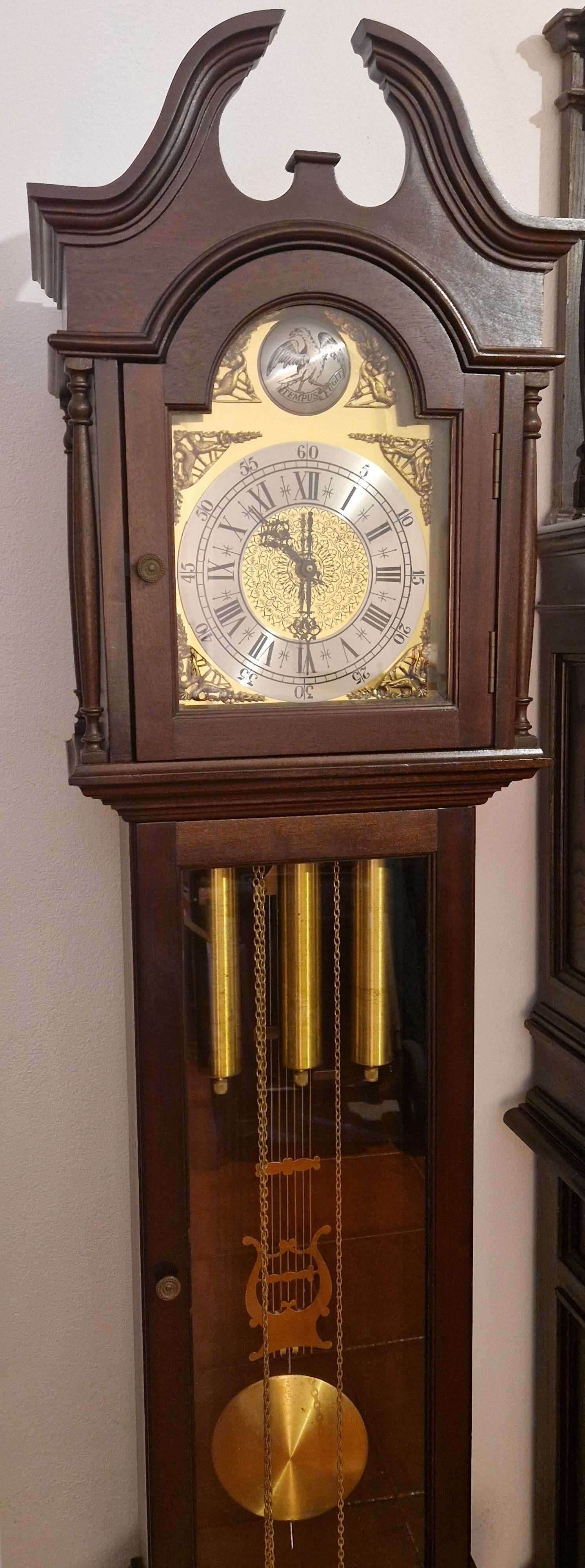 Relógio de Pé Alto Tempus Fugit