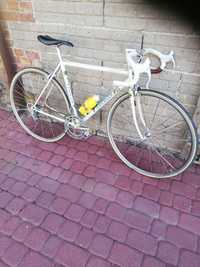 Gazelle retro szosa campagnolo