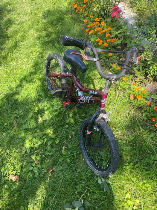 Дитячий велосипед Ardis