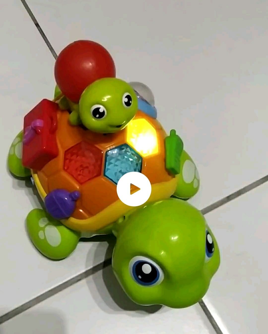 Interaktywny żółwik