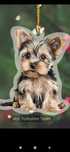 Zawieszka Yorkshire terrier chłopiec