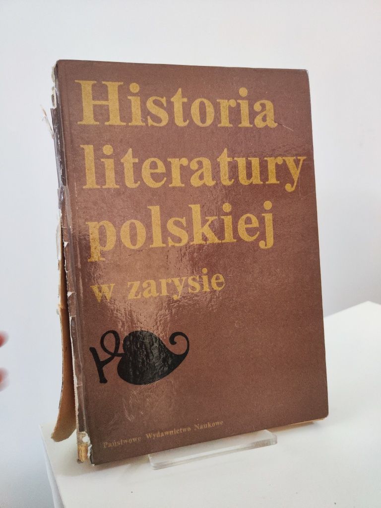 Historia literatury polskiej w zarysie