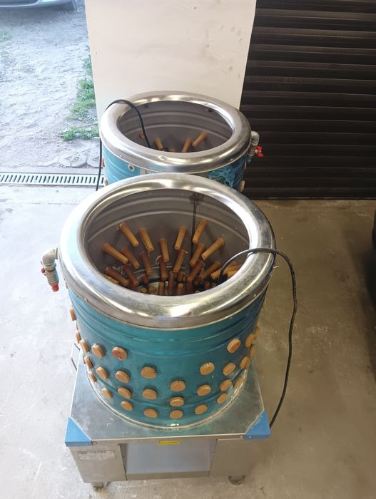 Wypożyczam Skubarka do drobiu kaczki kurczaki