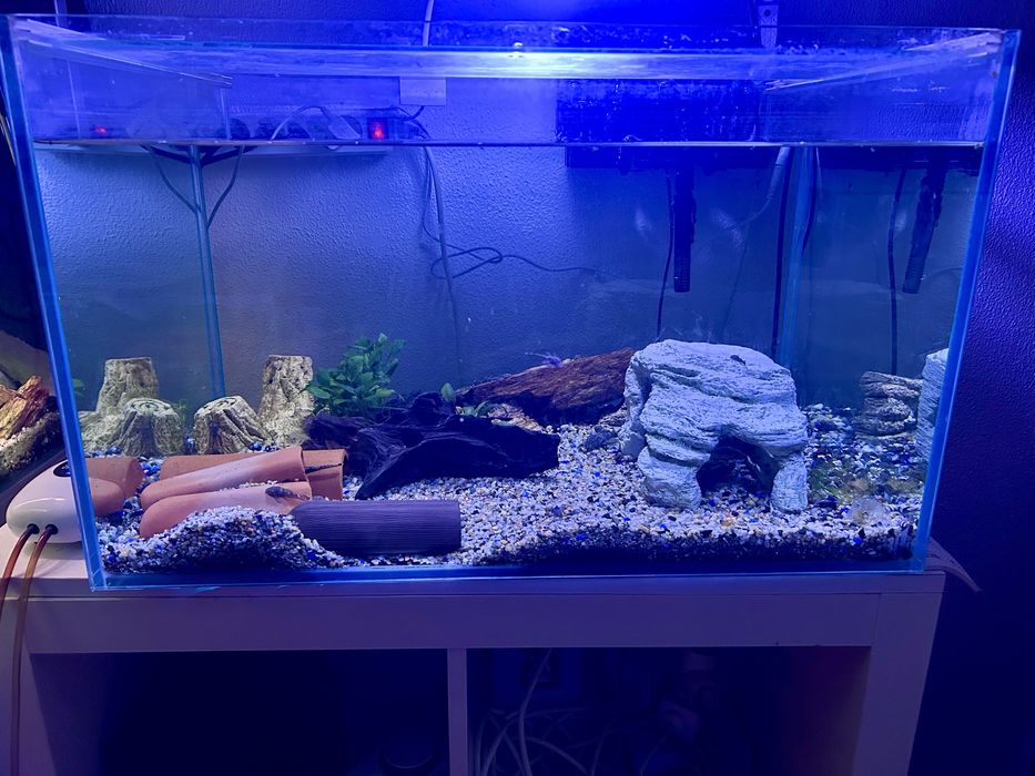 Aquario Scalare 117litros