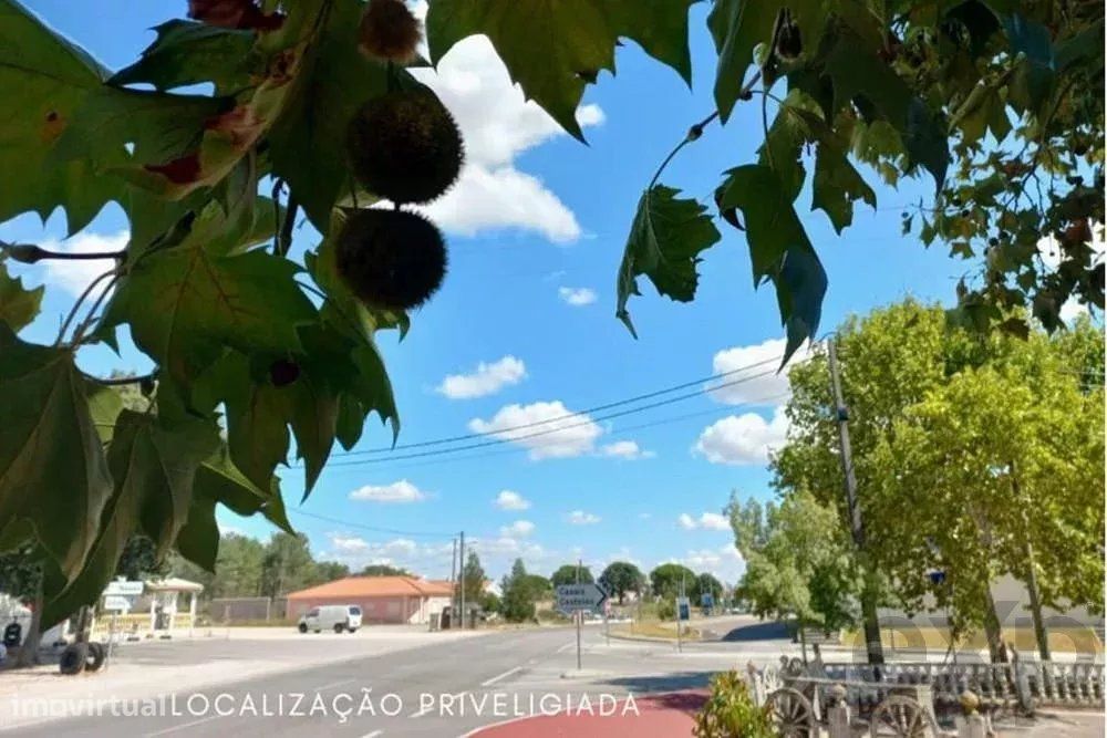 Terreno para construção em Lagoas, Entroncamento- Santarém