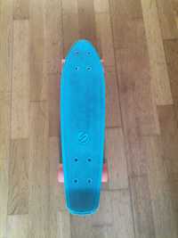 Skateboard penny