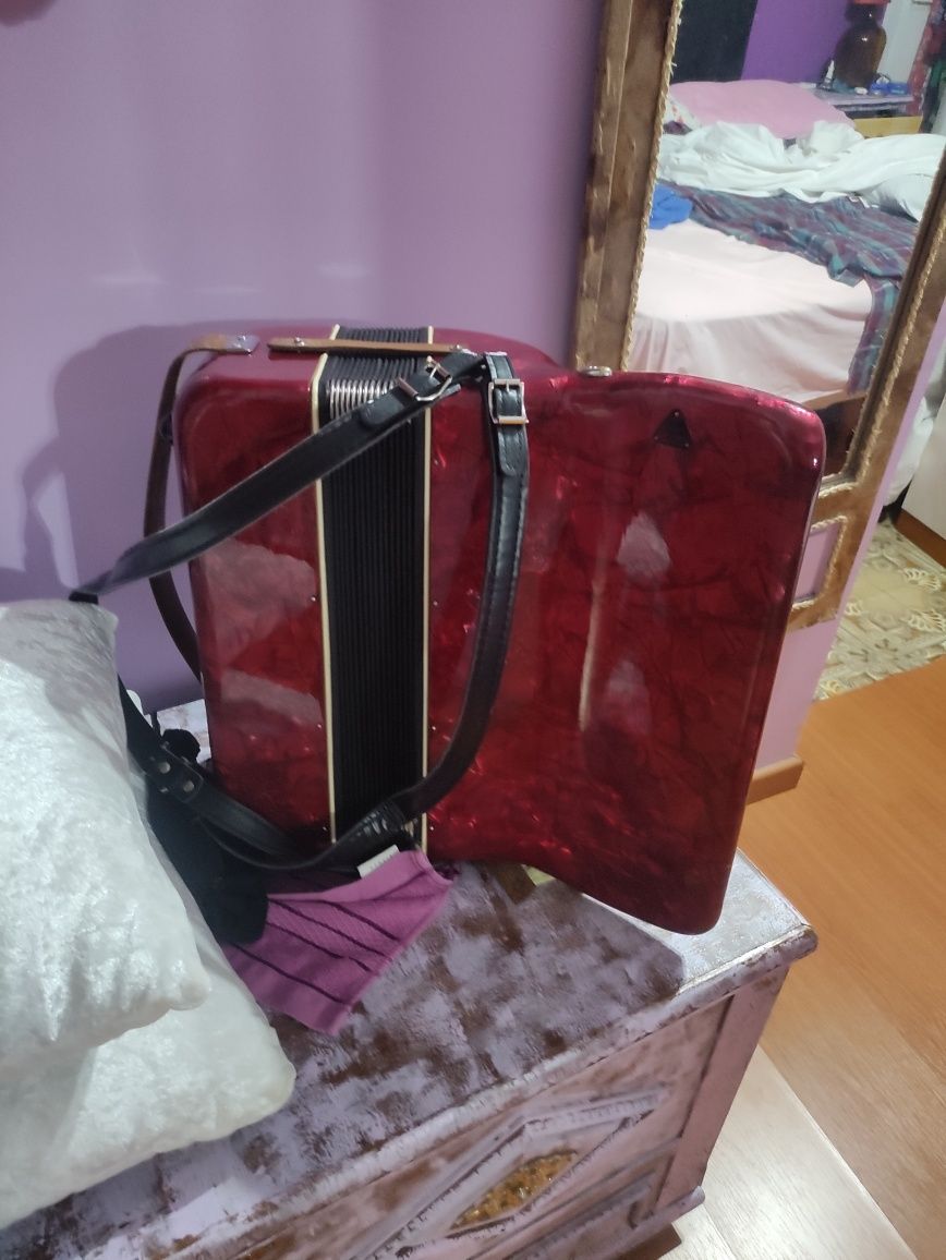 Acordeon bom preço.