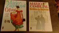 2 livros Mário Zambujal "Cafuné"+"Histórias do fim da rua" como novos