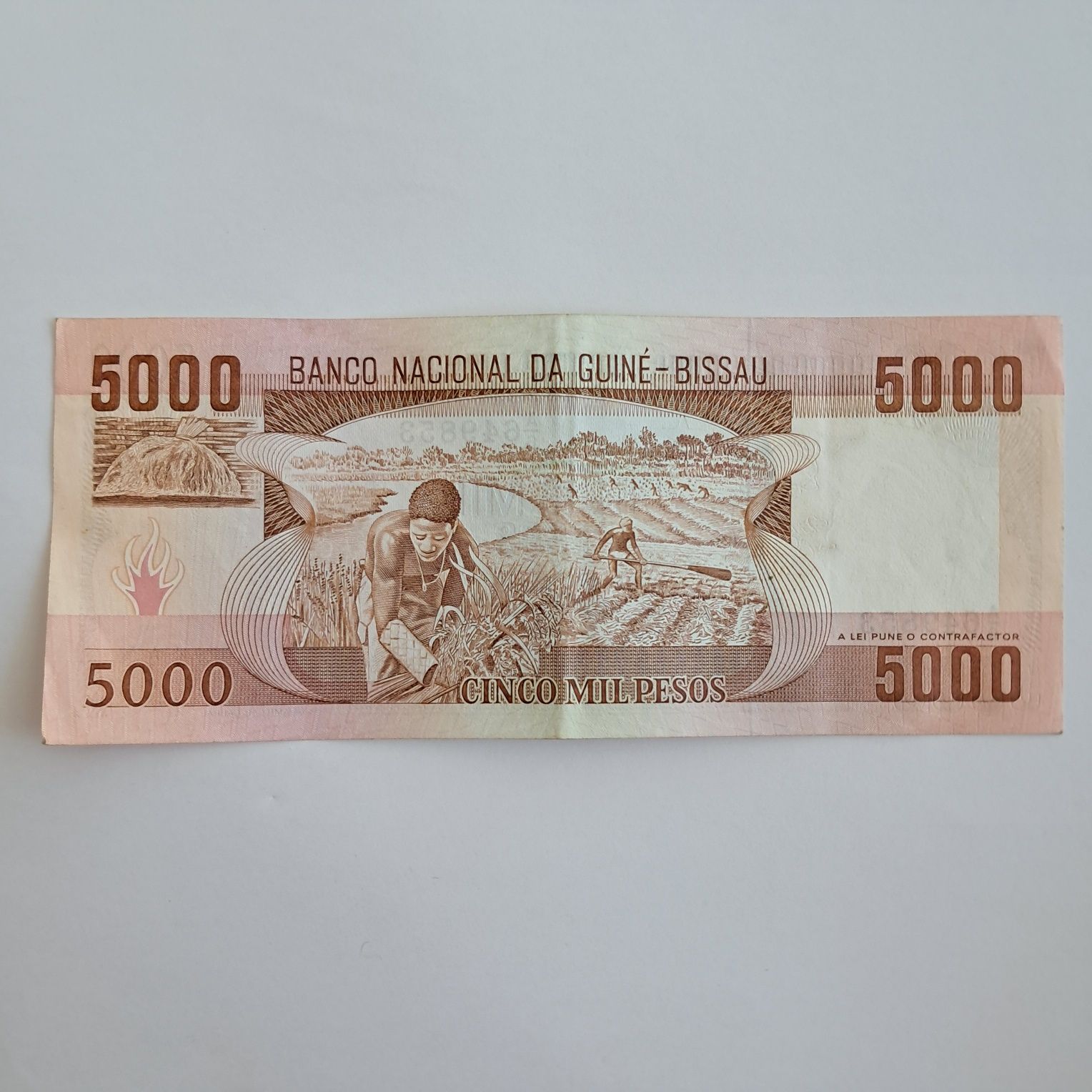 Guine-Bissau - 5000 pesos, 1984