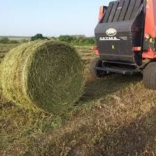 СЕНО СОБАКАМ на подстилку в тюках мешках, сіно злаки и др виды.
