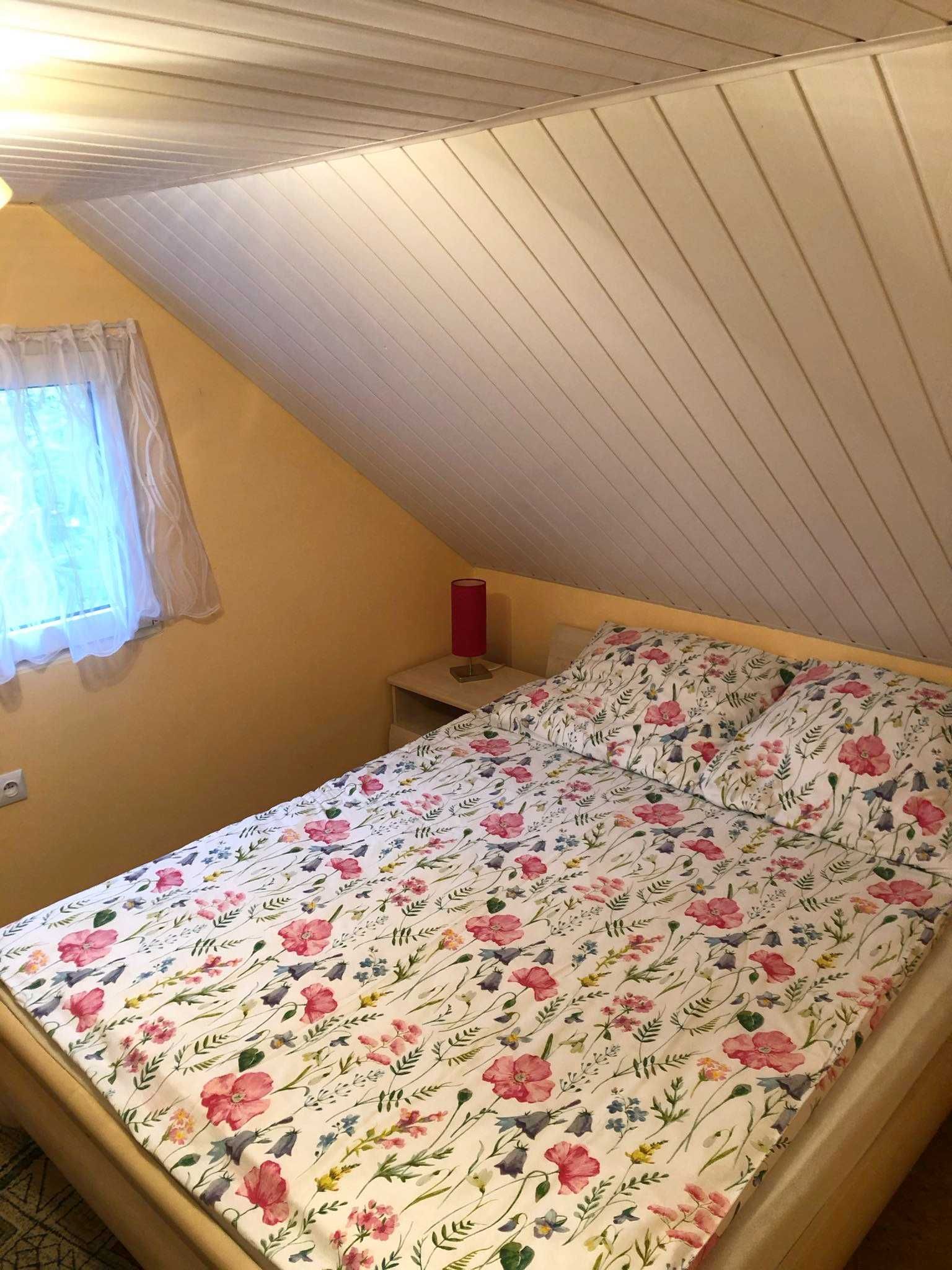 DOMEK NAD JEZIOREM pierwsza linia brzegowa