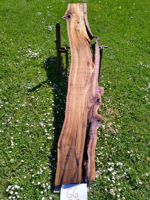 Deska orzech włoski