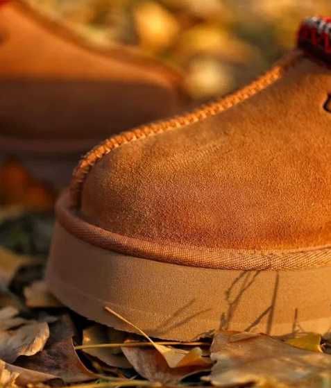 UGG_Tazz_Slipper_Chestnut_Rozmiar.41
