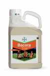 BACARA TRIO 516 SC 5l na chwasty miotłę w zbożu jesienią na 11 ha