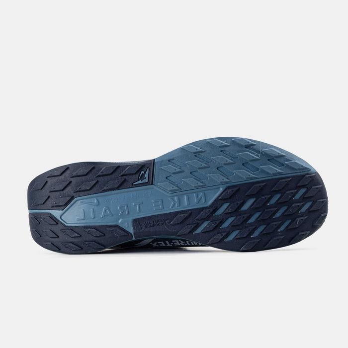 Мужские кроссовки Nike Pegasus Trail 5 GTX Gore-Tex "Blue" 41-45