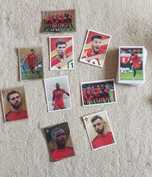 Cromos Panini Fome de Vencer Continente 2021 - Lista na Descrição