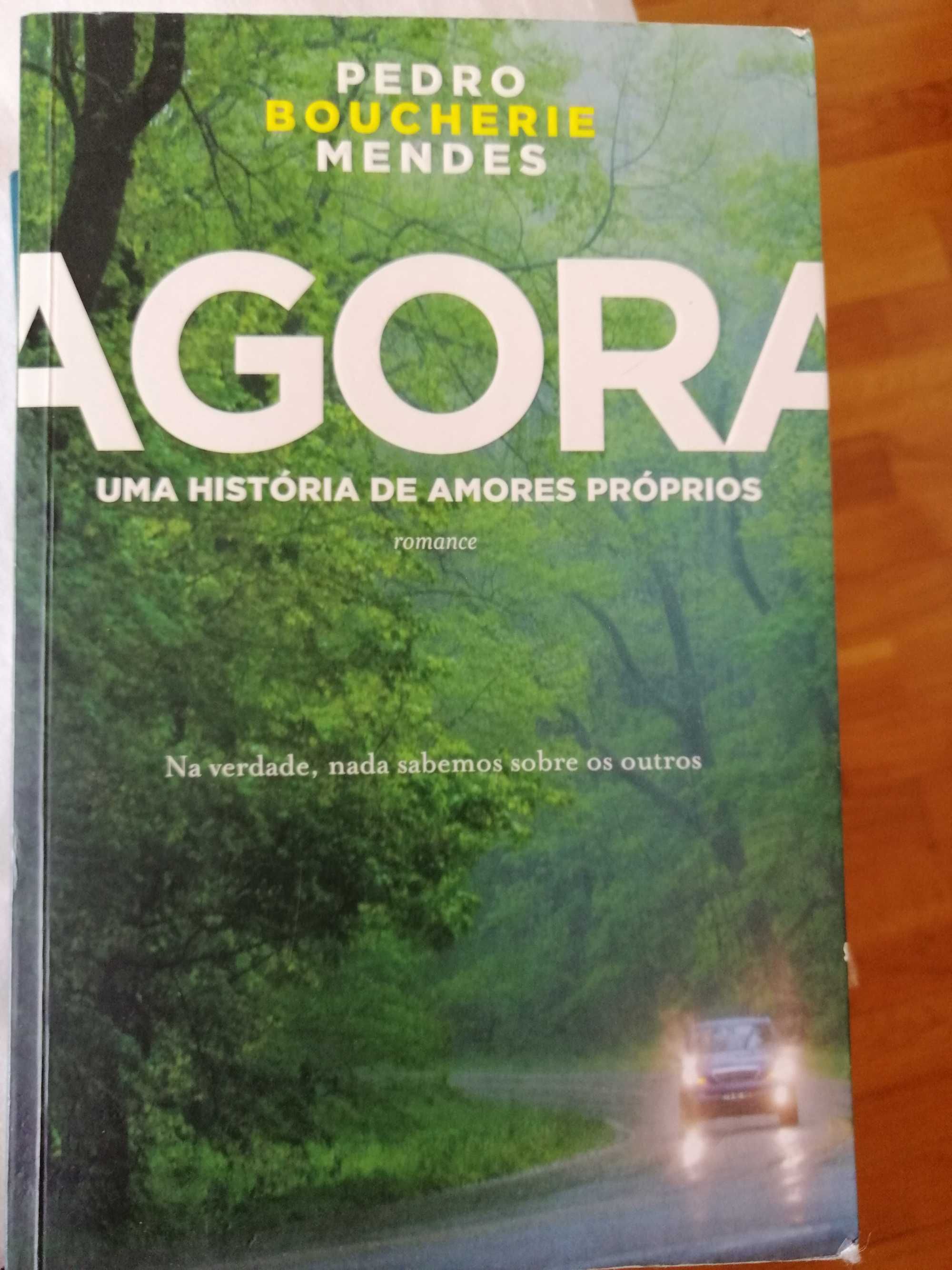 Livro "Agora, uma história de amores próprios"