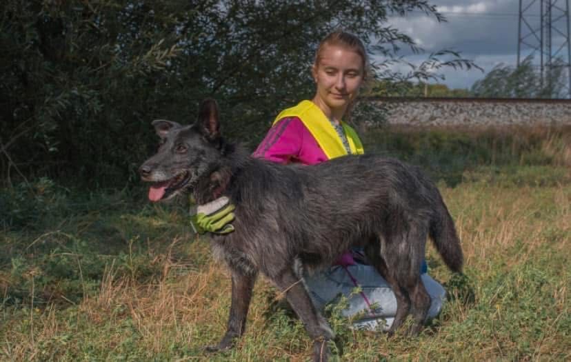 Kruczek od tylu lat wypatruje domku!