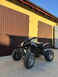 Quad barton warrior 250