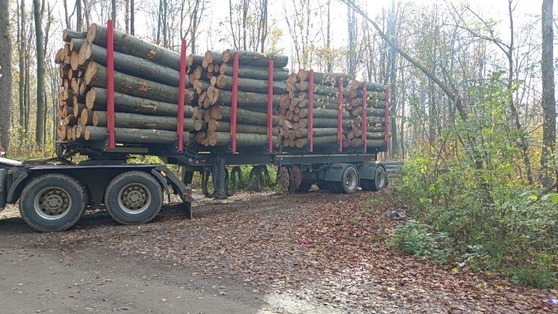 Drewno OPAŁOWE BUK kominkowe Opał świeży
