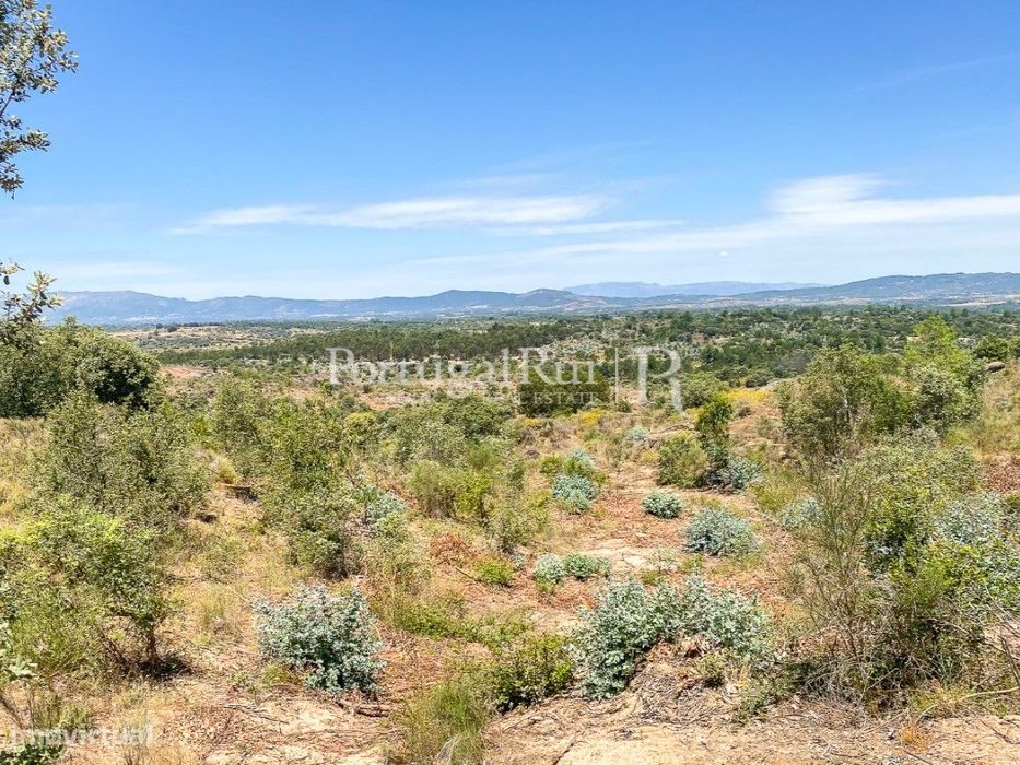 Herdade com 108 hectares em Idanha-a-Nova