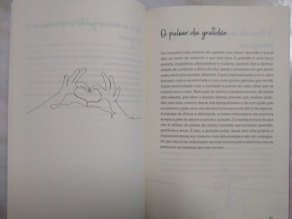 Livro O Universo Protege os Corajosos