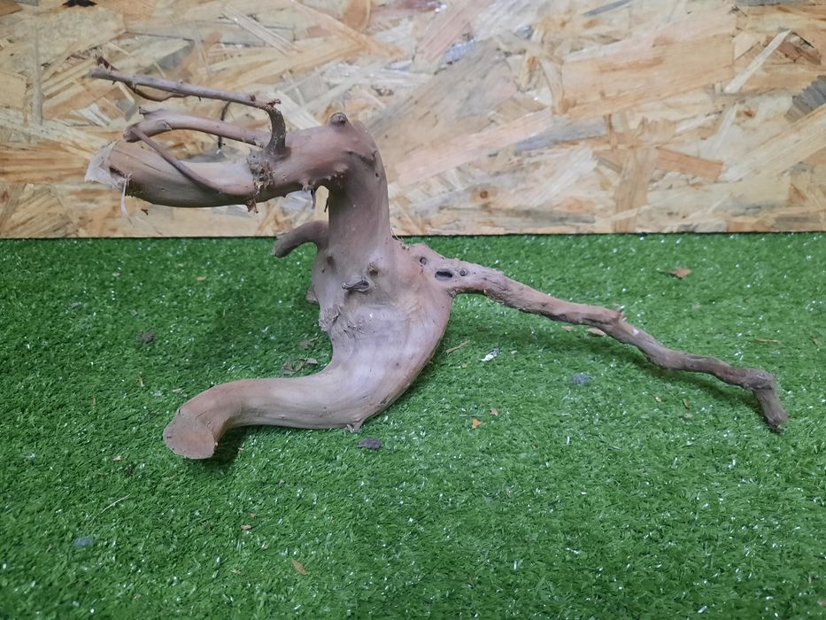 Korzeń do akwarium Red Moore Wood nr 1116 o wymiarach 33/15/16