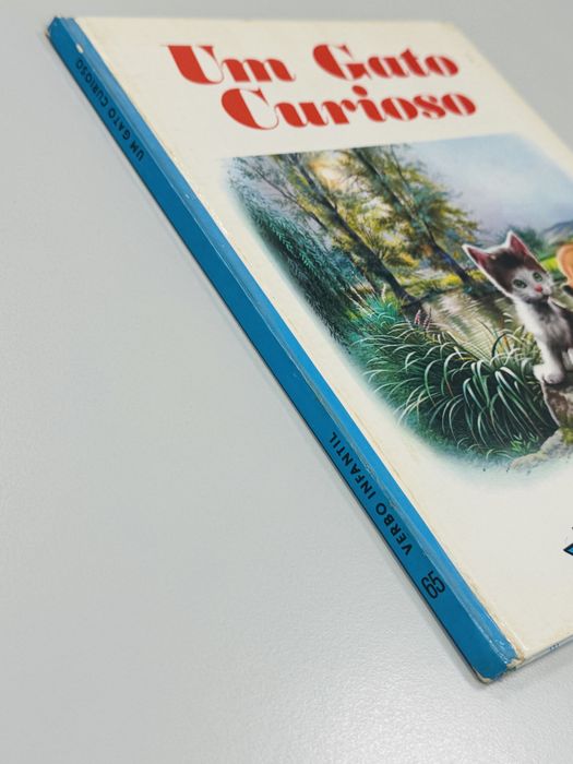 Um Gato Curioso (nº 65) - Anita