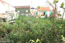 Terreno  para venda