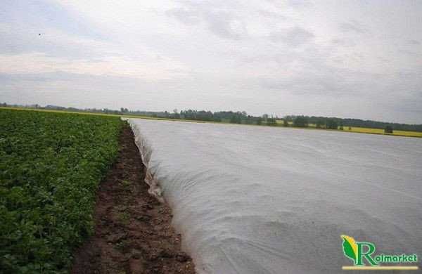 Agrowłóknina biała okryciowa wiosenna 1,6x100m 23g WŁÓKNINA zimowa