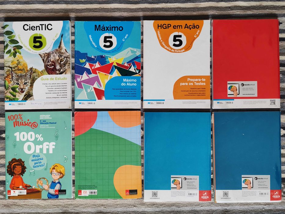 Cadernos de actividades 5 ano