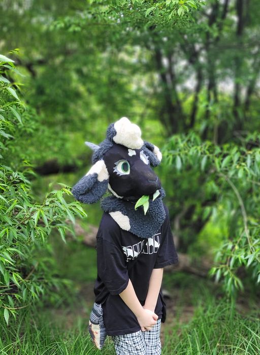 Фурсьют чорна вівця