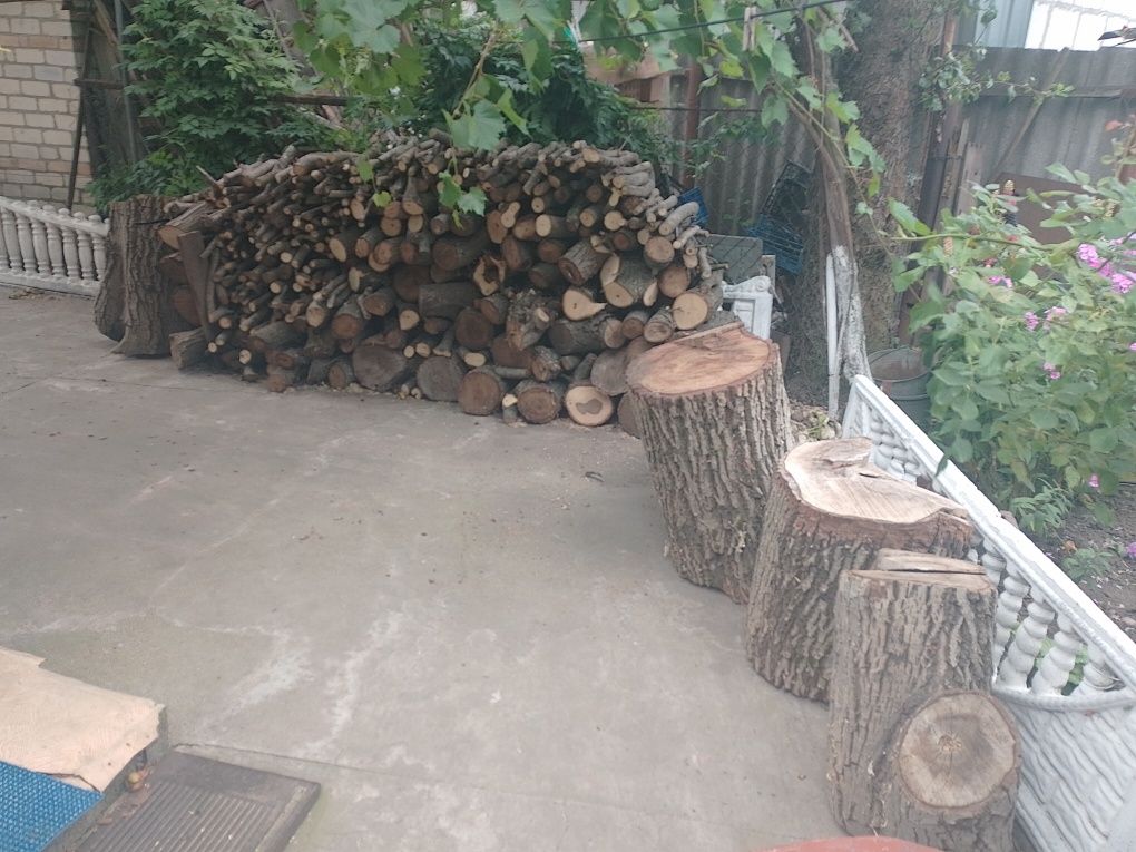 Продам дрова з великого  горіха