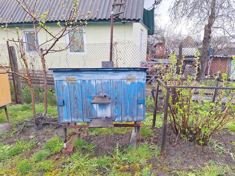 Продам пасіку!!!