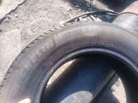 Шина летняя Michelin 195/65 R15 91H