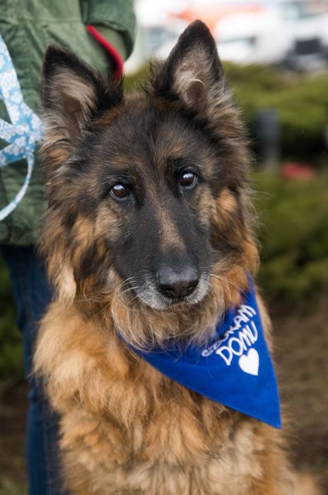 Petra szuka kochającego człowieka