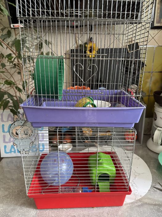 Клетка для хомяка 2