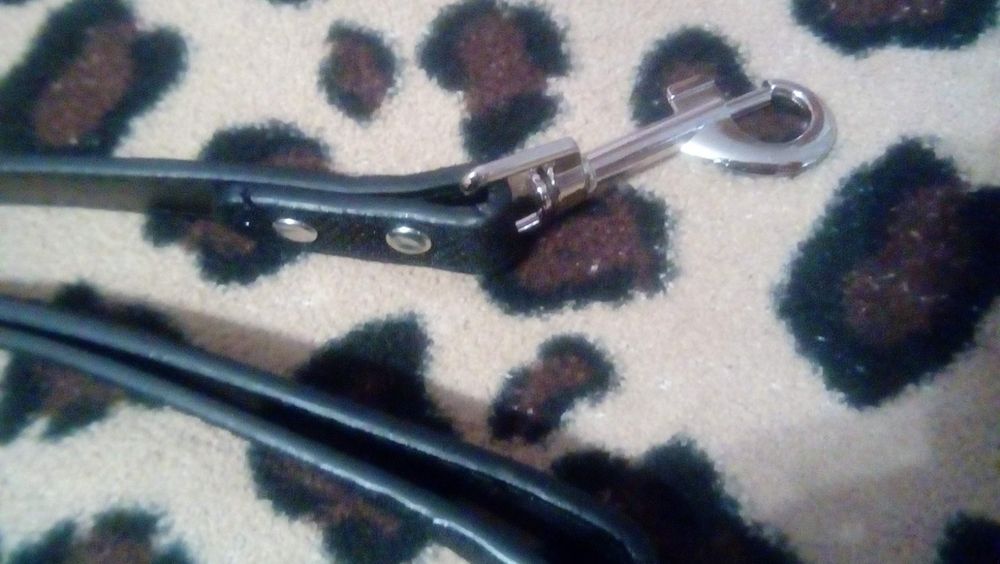 Поводок для животных