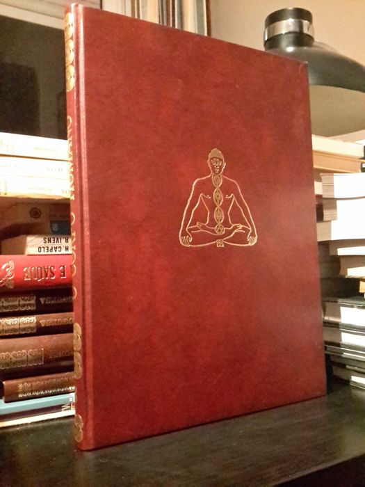 O Corpo da Criança (col. O Corpo Humano)