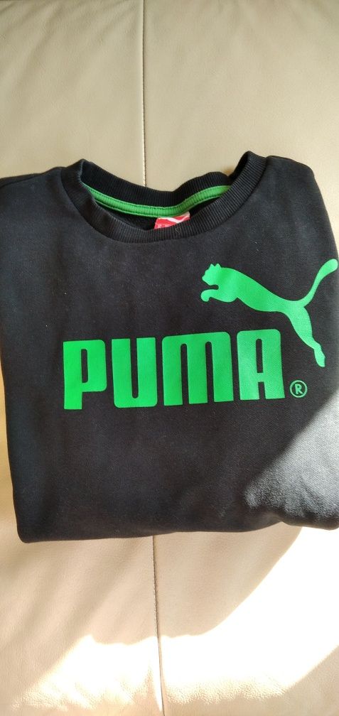 Oryginalna bluza Puma