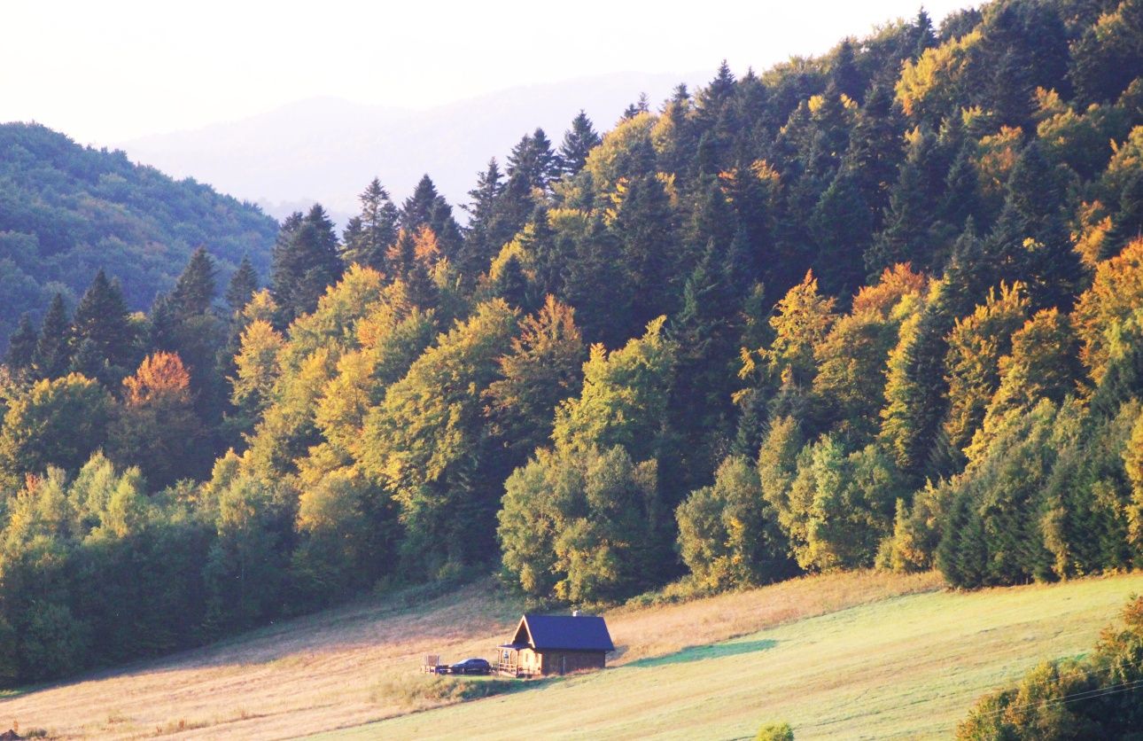 Bieszczady Domek Pod Stropem