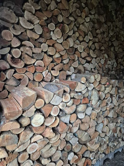 Drewno kominkowe opałowe suche sezonowane świeże opał drzewo