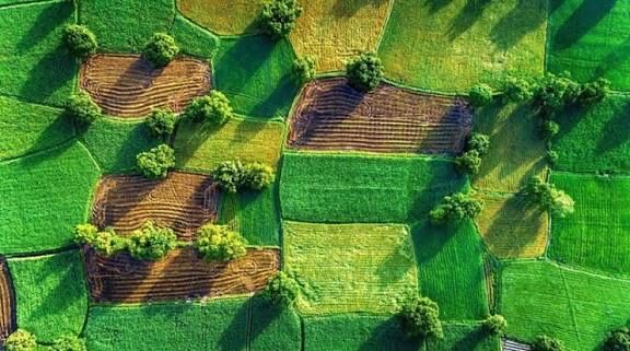 Земельна ділянка під будівництво (10 сотих)