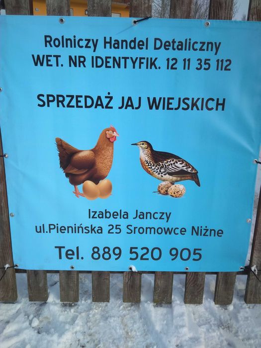 Sprzedaż jaj wiejskich