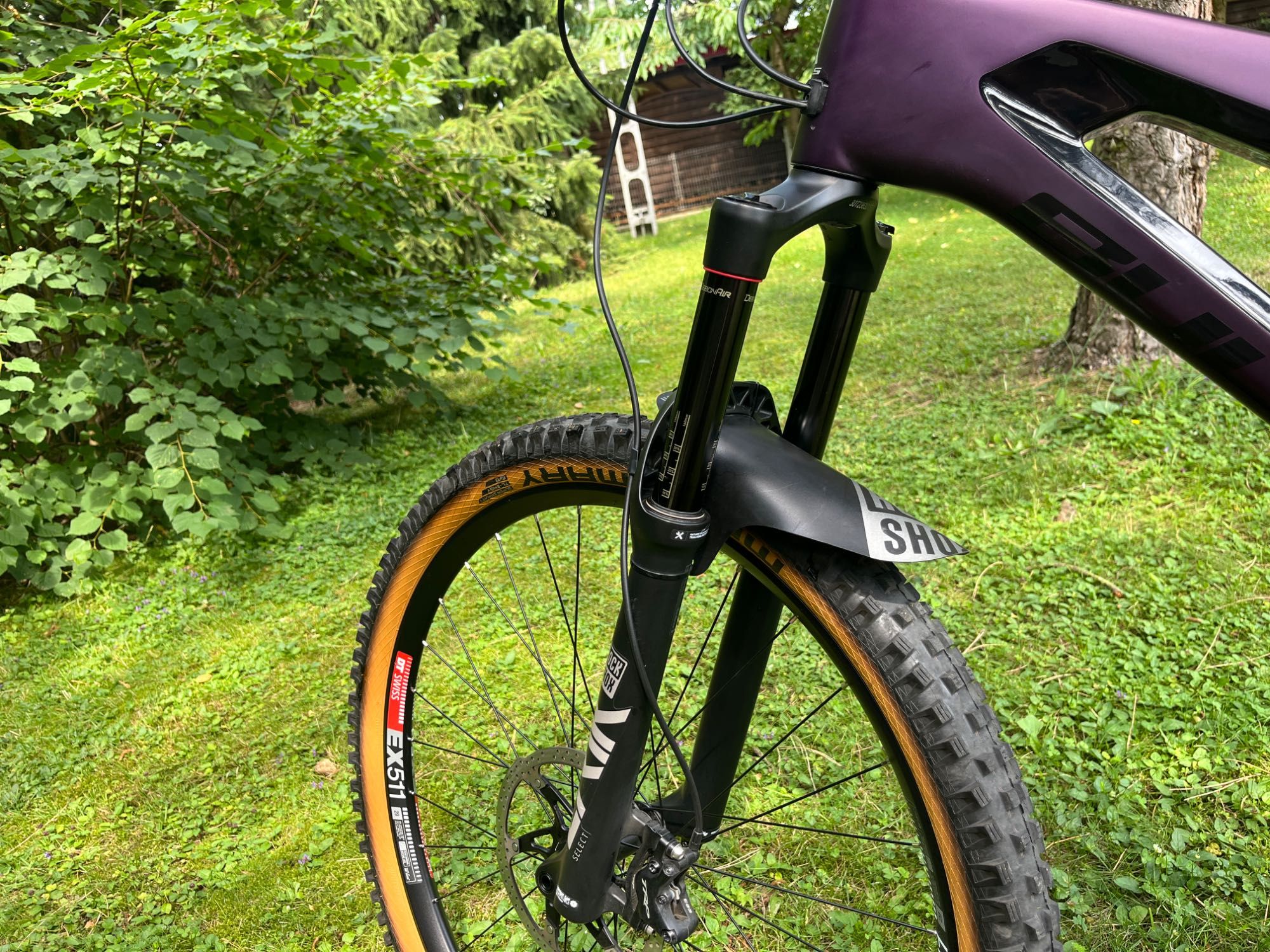 Bulls Wild creed RS XL 29”