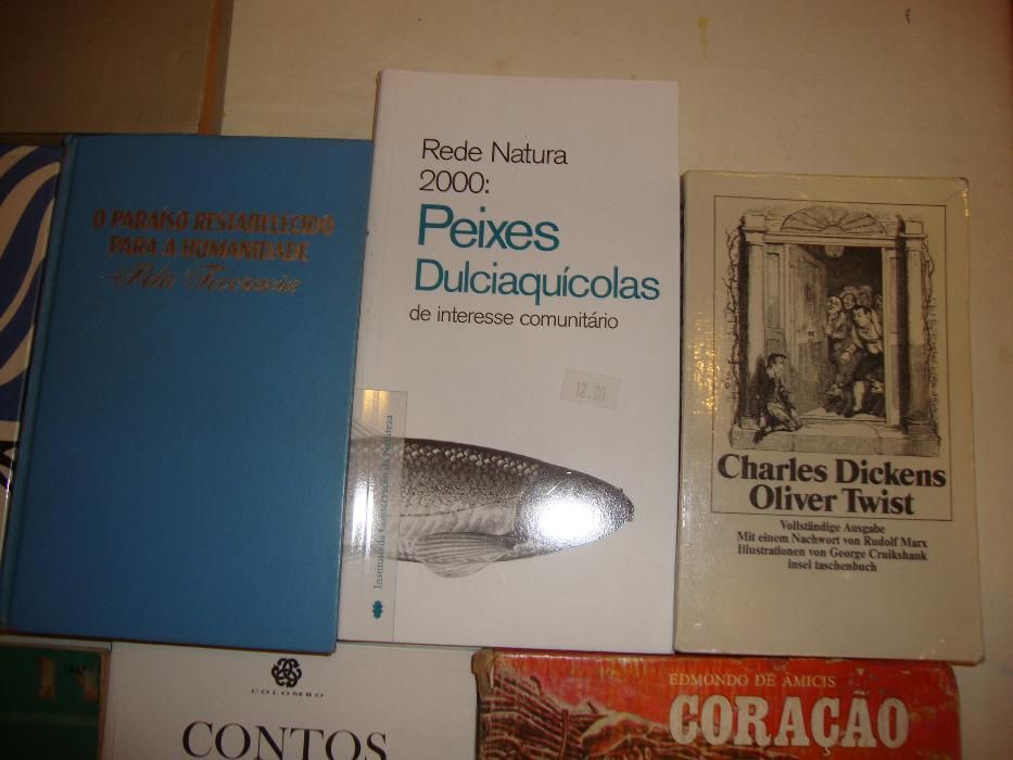 Livro autores diversos (Perfeito Estado)